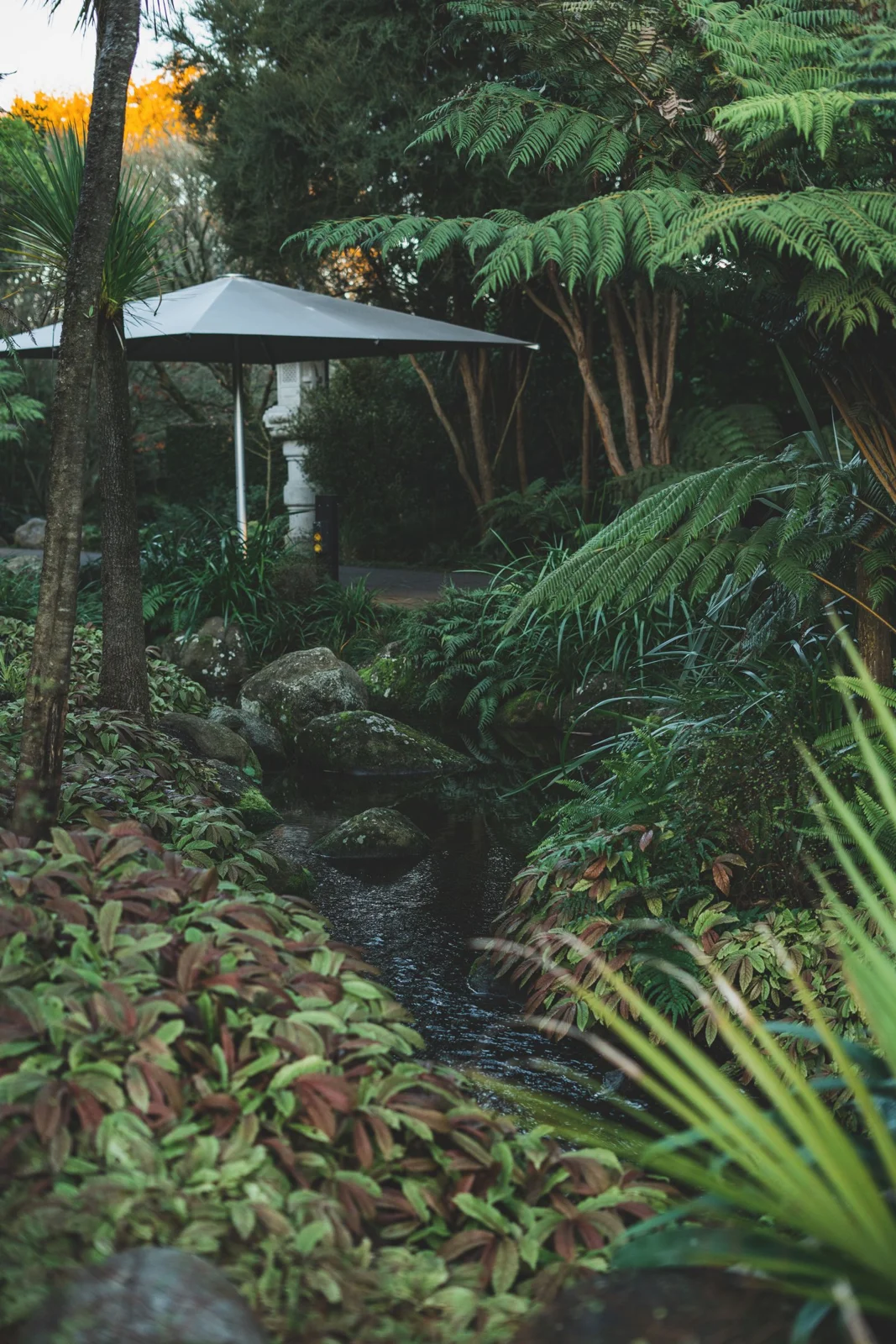 A peaceful landscaped garden in New Zealand