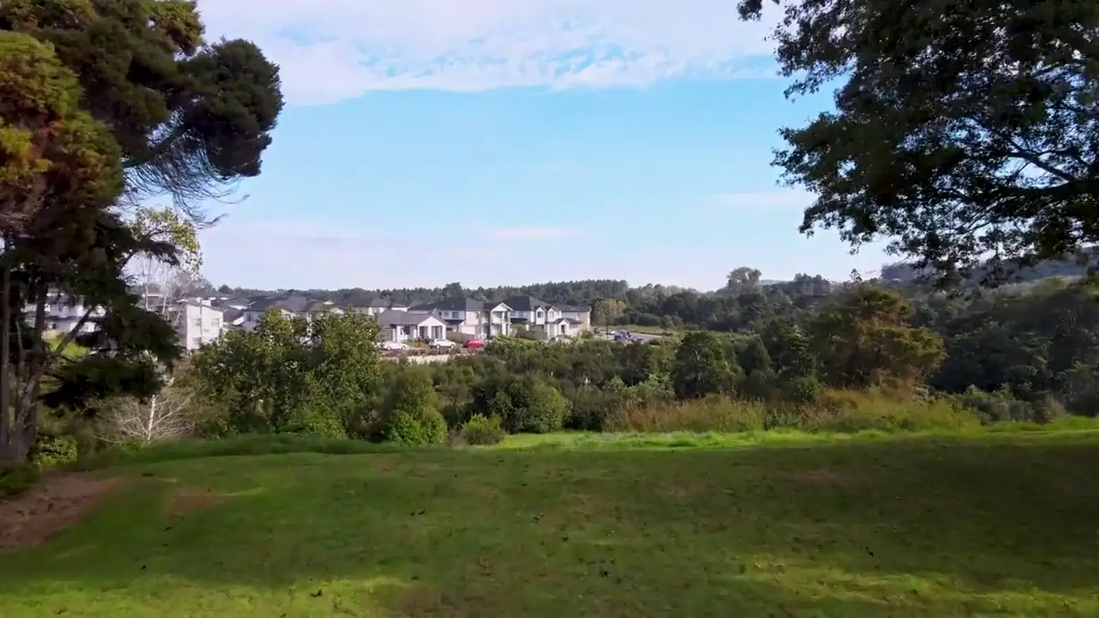 Leafy residential neighbourhood in New Zealand