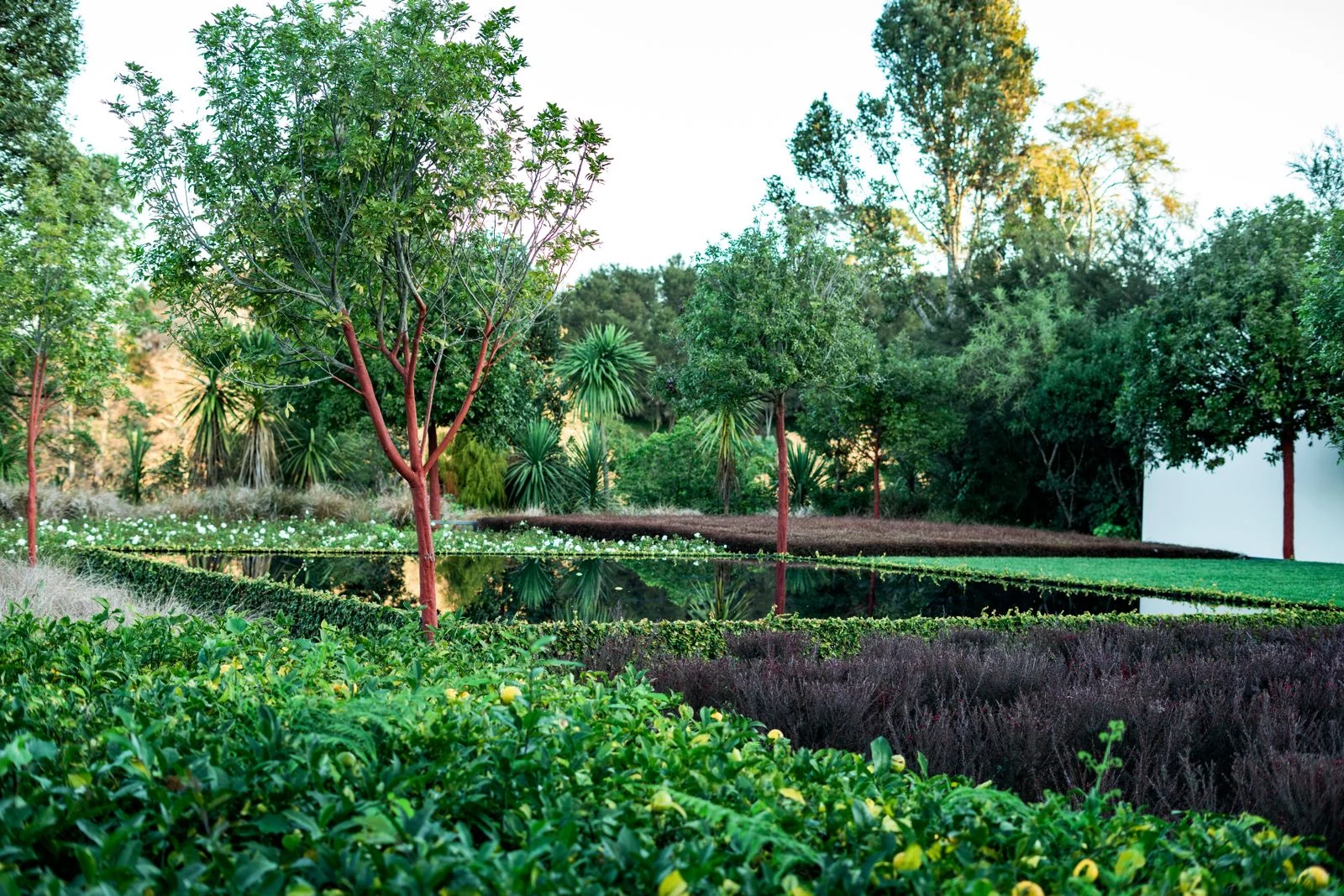A peaceful planted garden with water in New Zealand