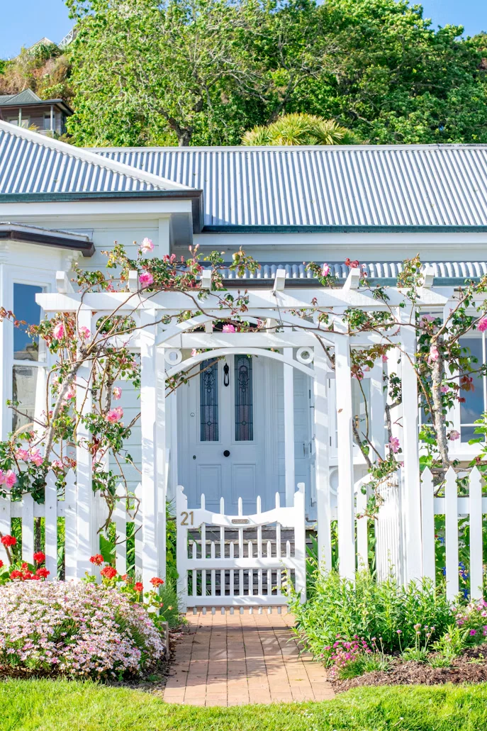 Flowering New Zealand cottage garden with a white picket fence